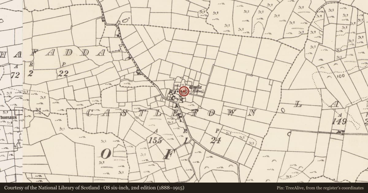 Ordnance Survey six-inch map, 2nd edition (1888–1915) covering the location of Castle - tower house, Castletown (Kilmaine By., Ballinchalla Par.), County Mayo, with a pin at the register's coordinates