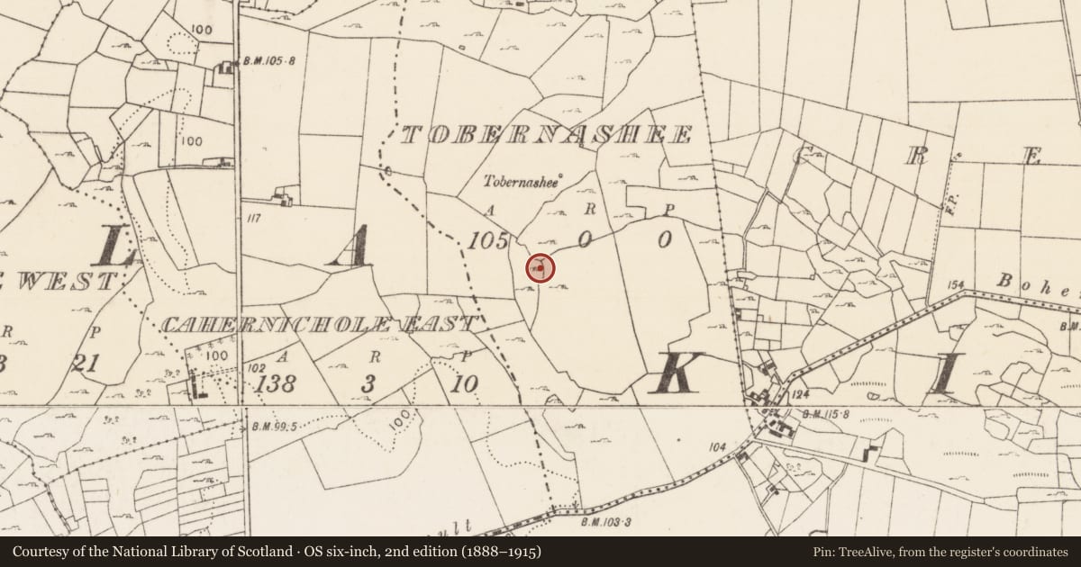 Ordnance Survey six-inch map, 2nd edition (1888–1915) covering the location of Enclosure, Tobernashee, County Mayo, with a pin at the register's coordinates