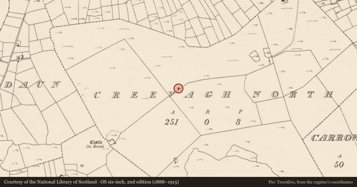 Ordnance Survey six-inch map, 2nd edition (1888–1915) covering the location of Field system, Creevagh North (Kilmaine By., Kilmolara Par.), County Mayo, with a pin at the register's coordinates