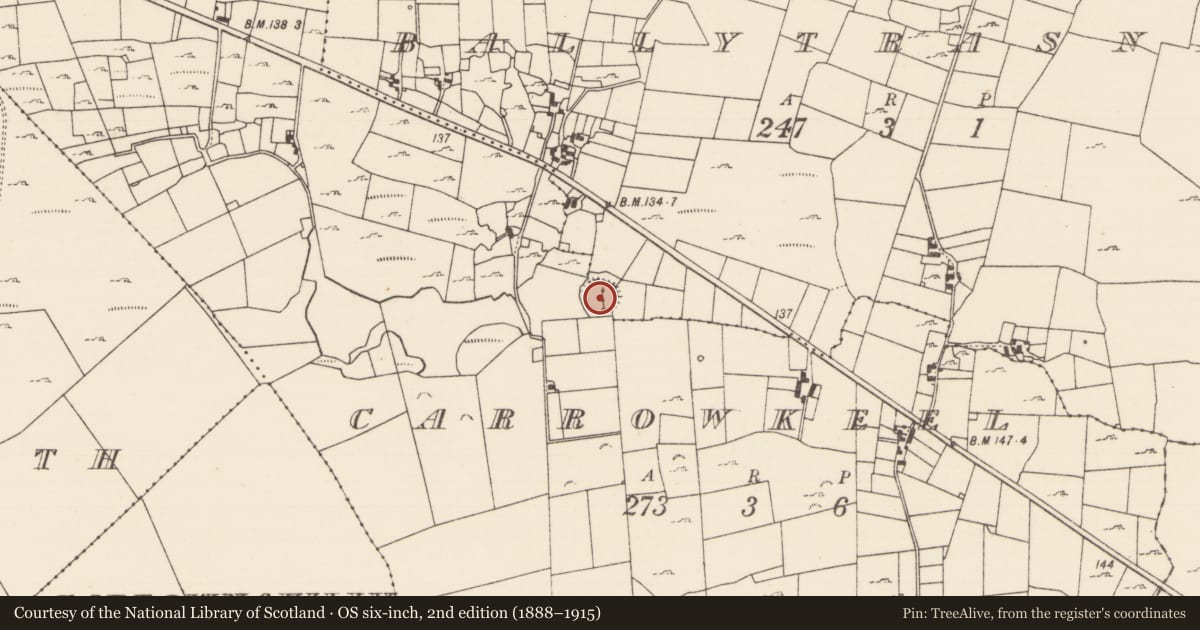 Ordnance Survey six-inch map, 2nd edition (1888–1915) covering the location of Ringfort - rath, Carrowkeel, Ballytrasna, County Mayo, with a pin at the register's coordinates