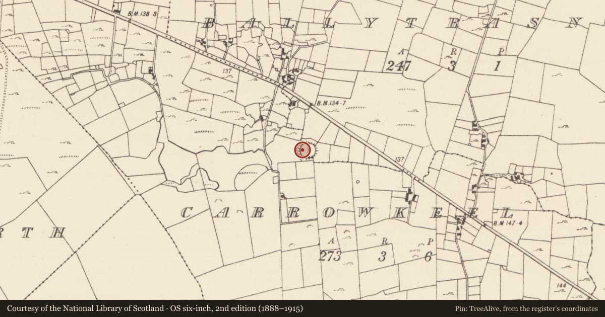 Ordnance Survey six-inch map, 2nd edition (1888–1915) covering the location of Souterrain, Ballytrasna, Carrowkeel, County Mayo, with a pin at the register's coordinates
