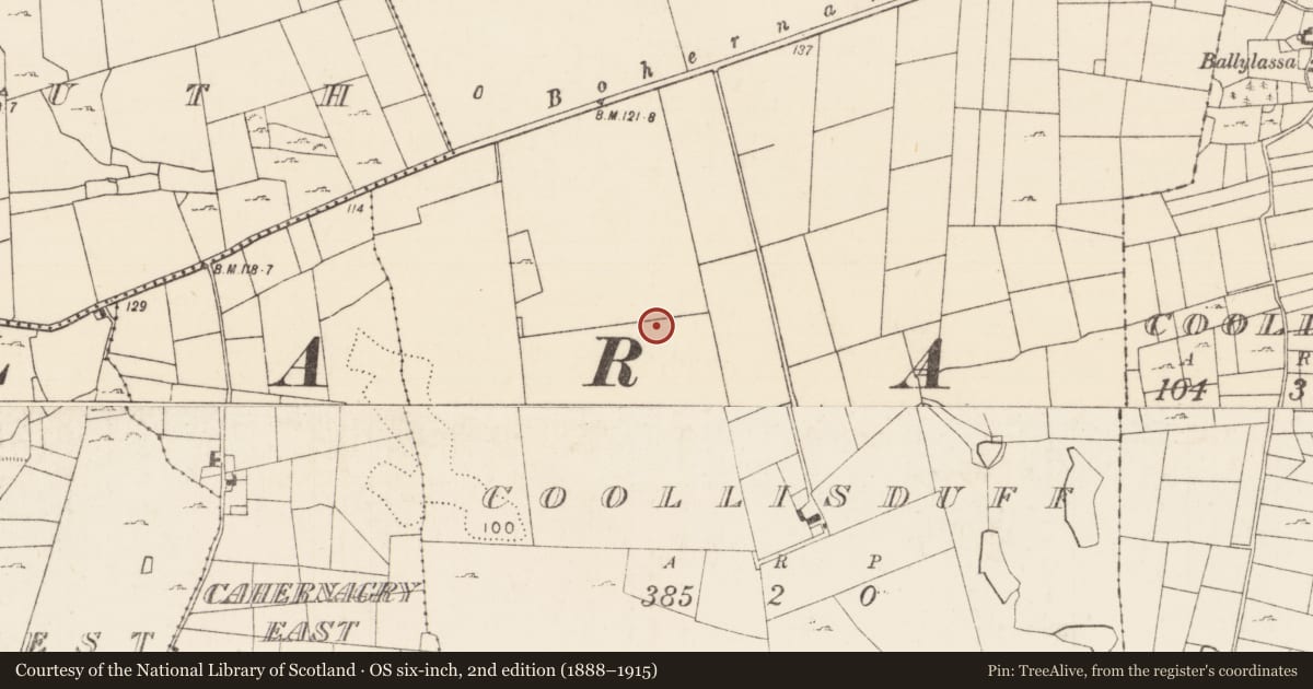 Ordnance Survey six-inch map, 2nd edition (1888–1915) covering the location of Enclosure, Coollisduff (Kilmaine By., Kilmolara Par.), County Mayo, with a pin at the register's coordinates