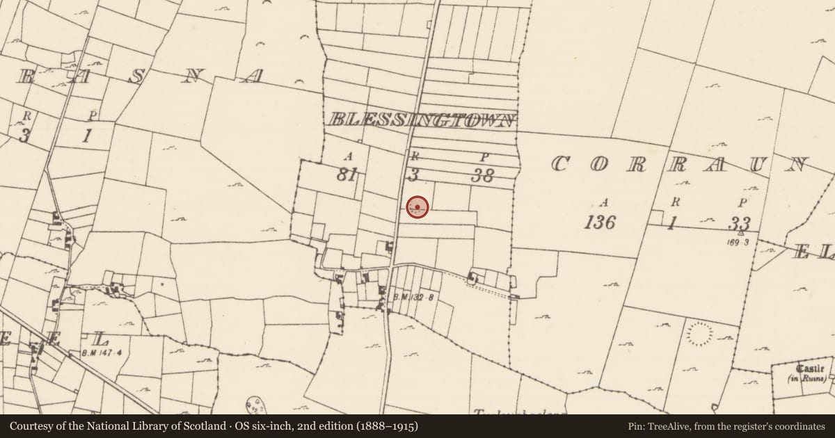 Ordnance Survey six-inch map, 2nd edition (1888–1915) covering the location of Ringfort - rath, Blessingtown, County Mayo, with a pin at the register's coordinates