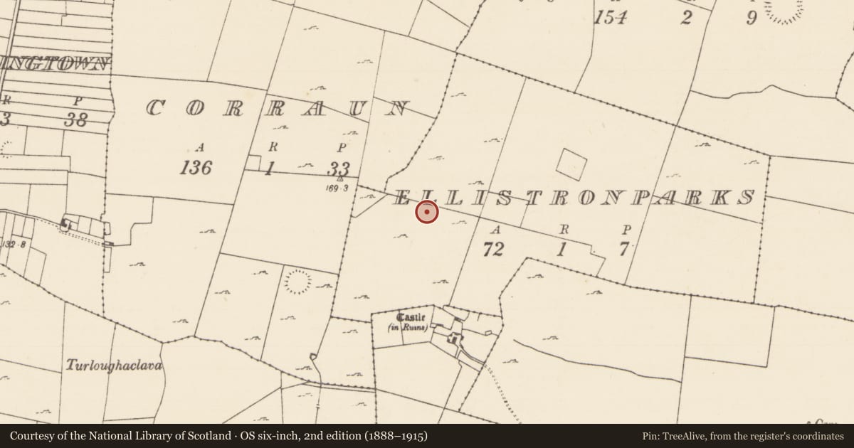 Ordnance Survey six-inch map, 2nd edition (1888–1915) covering the location of Enclosure, Ellistronparks, County Mayo, with a pin at the register's coordinates