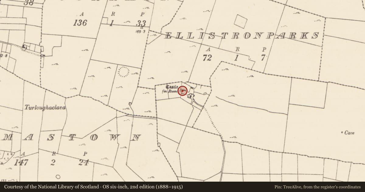 Ordnance Survey six-inch map, 2nd edition (1888–1915) covering the location of Castle - tower house, Loughanboy, County Mayo, with a pin at the register's coordinates