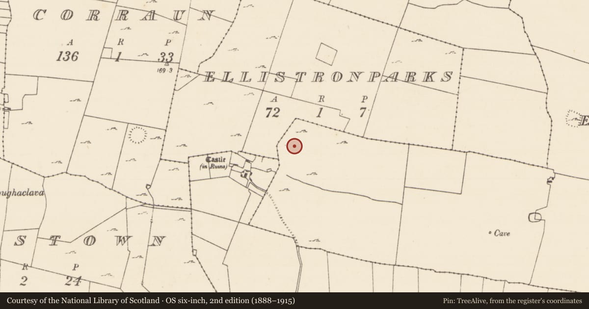 Ordnance Survey six-inch map, 2nd edition (1888–1915) covering the location of Enclosure, Ellistronbeg, County Mayo, with a pin at the register's coordinates