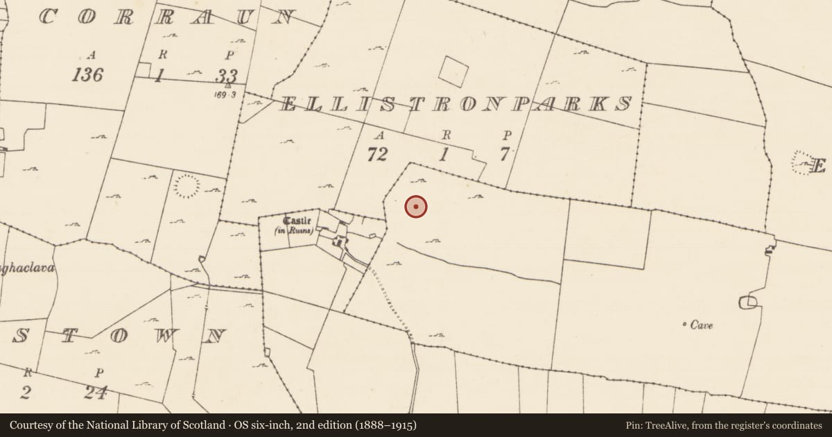 Ordnance Survey six-inch map, 2nd edition (1888–1915) covering the location of Hut site, Ellistronbeg, County Mayo, with a pin at the register's coordinates