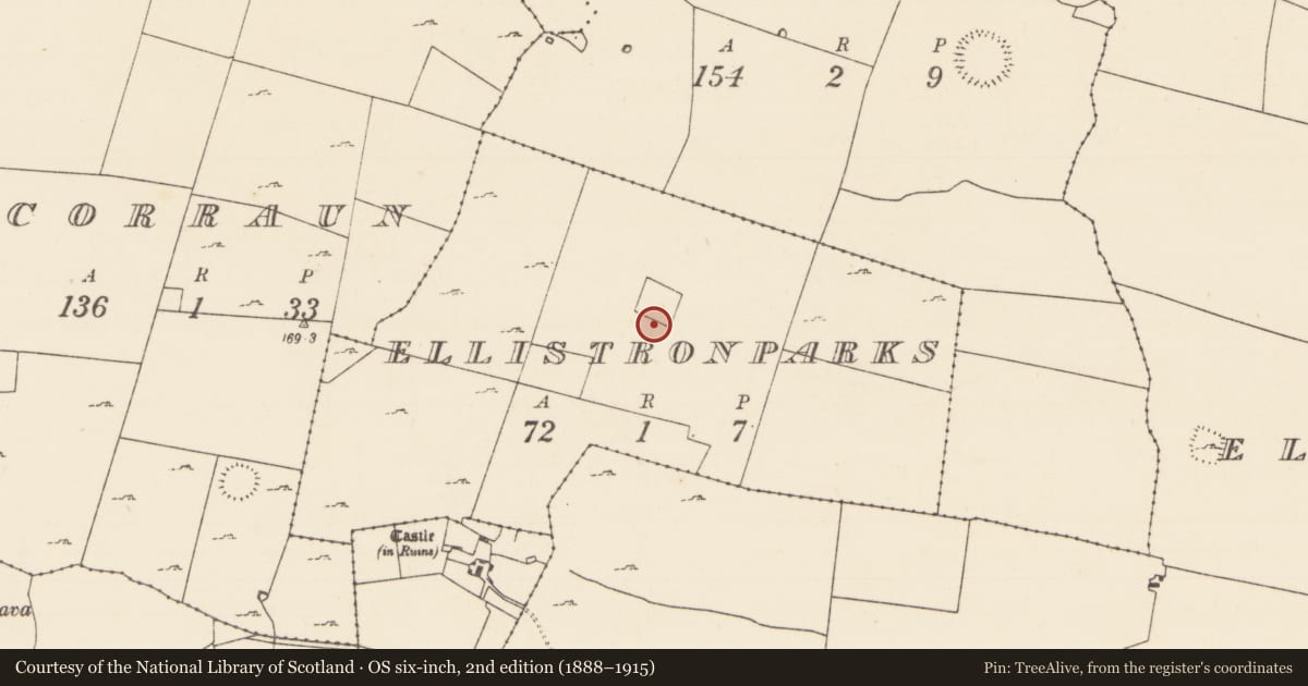 Ordnance Survey six-inch map, 2nd edition (1888–1915) covering the location of Field system, Ellistronparks, County Mayo, with a pin at the register's coordinates