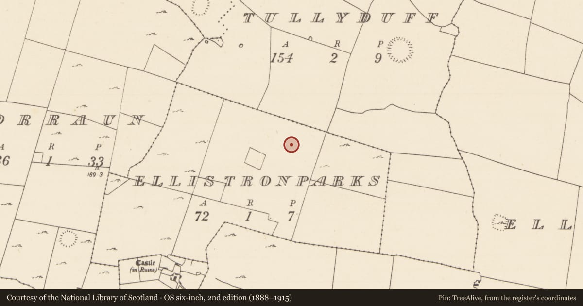 Ordnance Survey six-inch map, 2nd edition (1888–1915) covering the location of Cairn - unclassified, Ellistronparks, County Mayo, with a pin at the register's coordinates