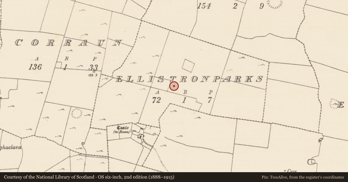 Ordnance Survey six-inch map, 2nd edition (1888–1915) covering the location of Enclosure, Ellistronparks, County Mayo, with a pin at the register's coordinates