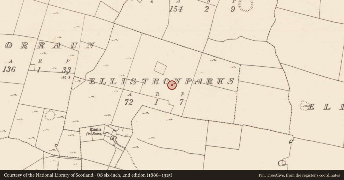 Ordnance Survey six-inch map, 2nd edition (1888–1915) covering the location of Road - road/trackway, Ellistronparks, County Mayo, with a pin at the register's coordinates