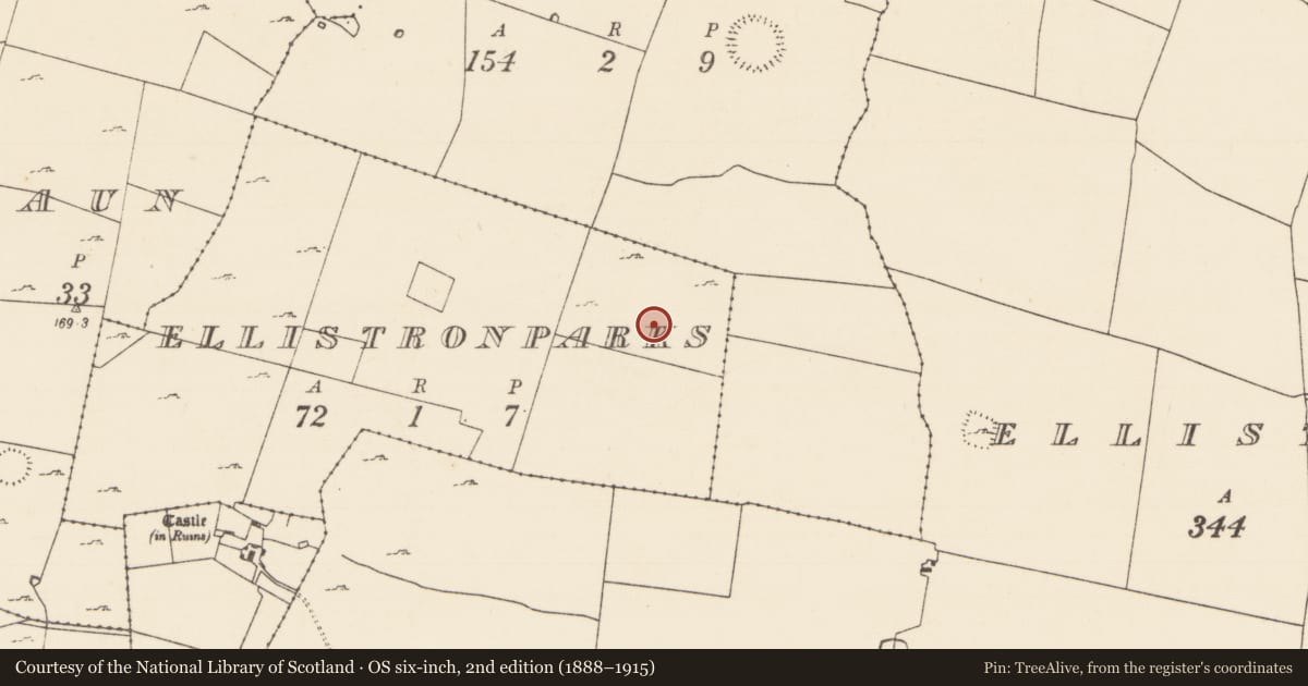 Ordnance Survey six-inch map, 2nd edition (1888–1915) covering the location of Ringfort - cashel, Ellistronparks, County Mayo, with a pin at the register's coordinates