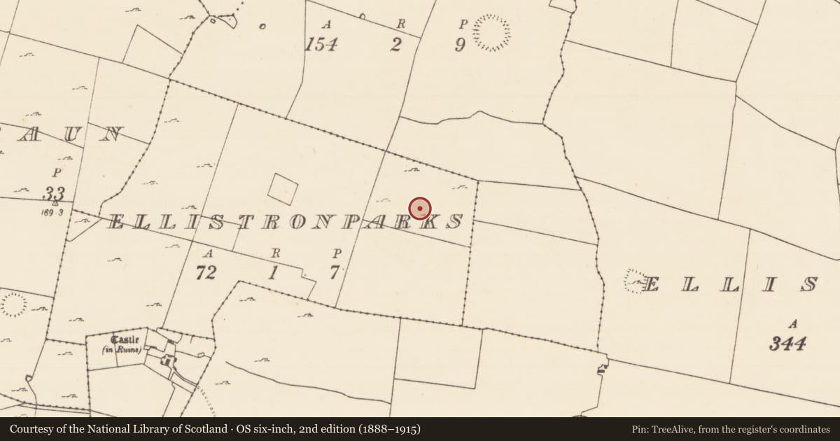 Ordnance Survey six-inch map, 2nd edition (1888–1915) covering the location of Souterrain, Ellistronparks, County Mayo, with a pin at the register's coordinates