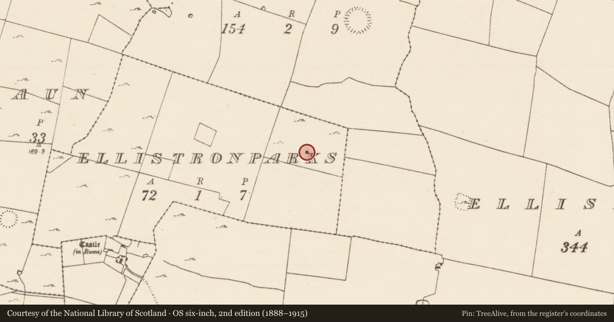 Ordnance Survey six-inch map, 2nd edition (1888–1915) covering the location of House - indeterminate date, Ellistronparks, County Mayo, with a pin at the register's coordinates