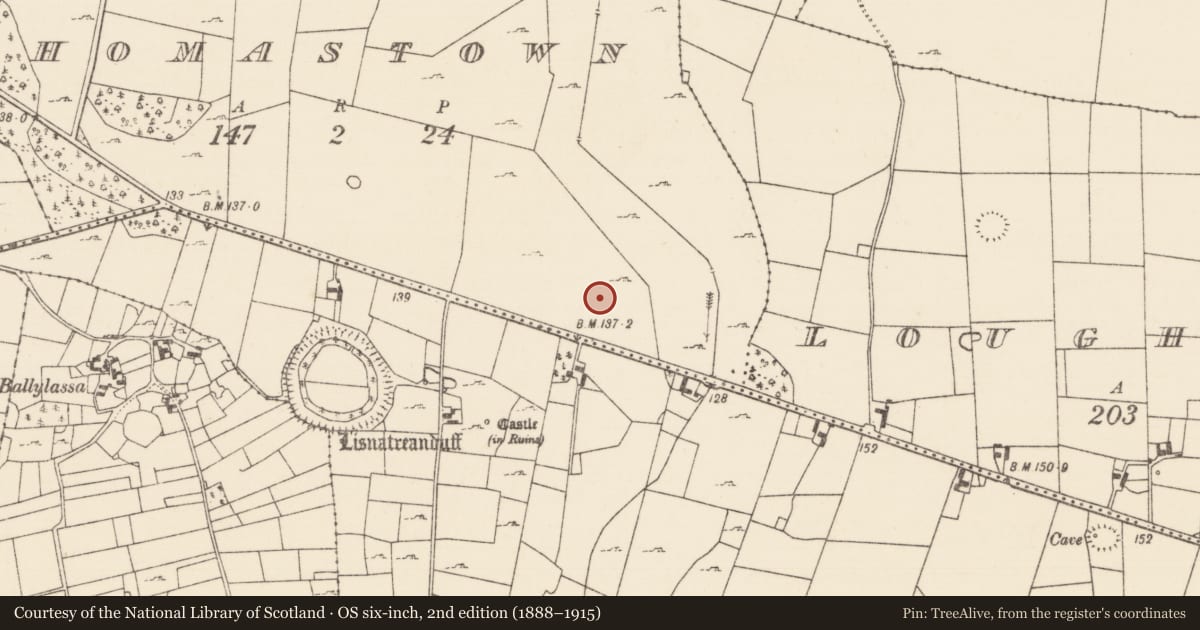 Ordnance Survey six-inch map, 2nd edition (1888–1915) covering the location of Enclosure, Thomastown (Kilmaine By., Kilmainemore Par.), County Mayo, with a pin at the register's coordinates