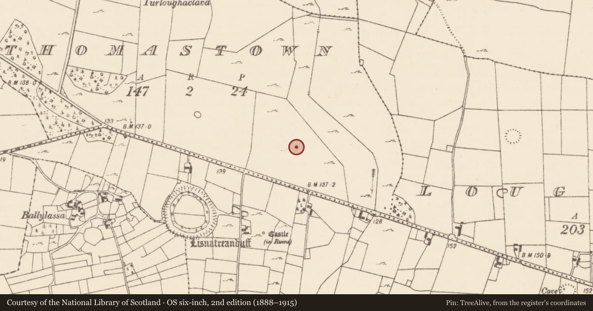 Ordnance Survey six-inch map, 2nd edition (1888–1915) covering the location of Field system, Thomastown (Kilmaine By., Kilmainemore Par.), County Mayo, with a pin at the register's coordinates
