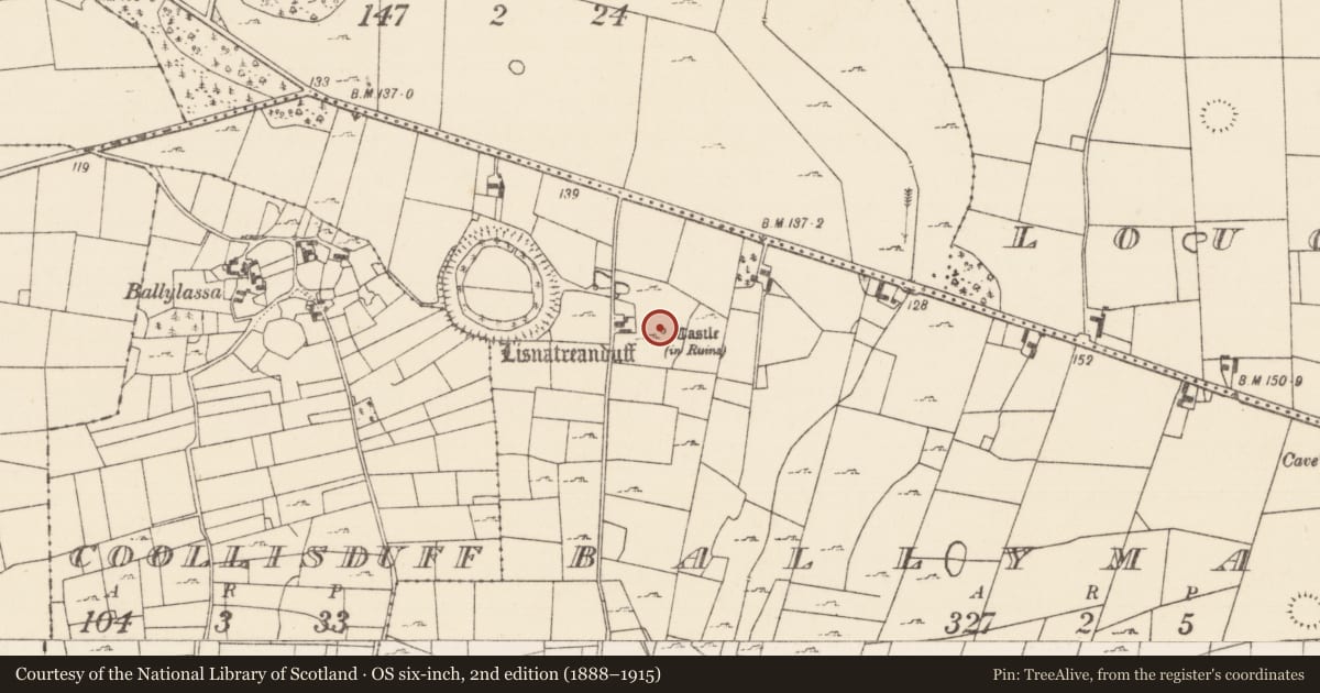 Ordnance Survey six-inch map, 2nd edition (1888–1915) covering the location of Mound, Ballymartin, County Mayo, with a pin at the register's coordinates