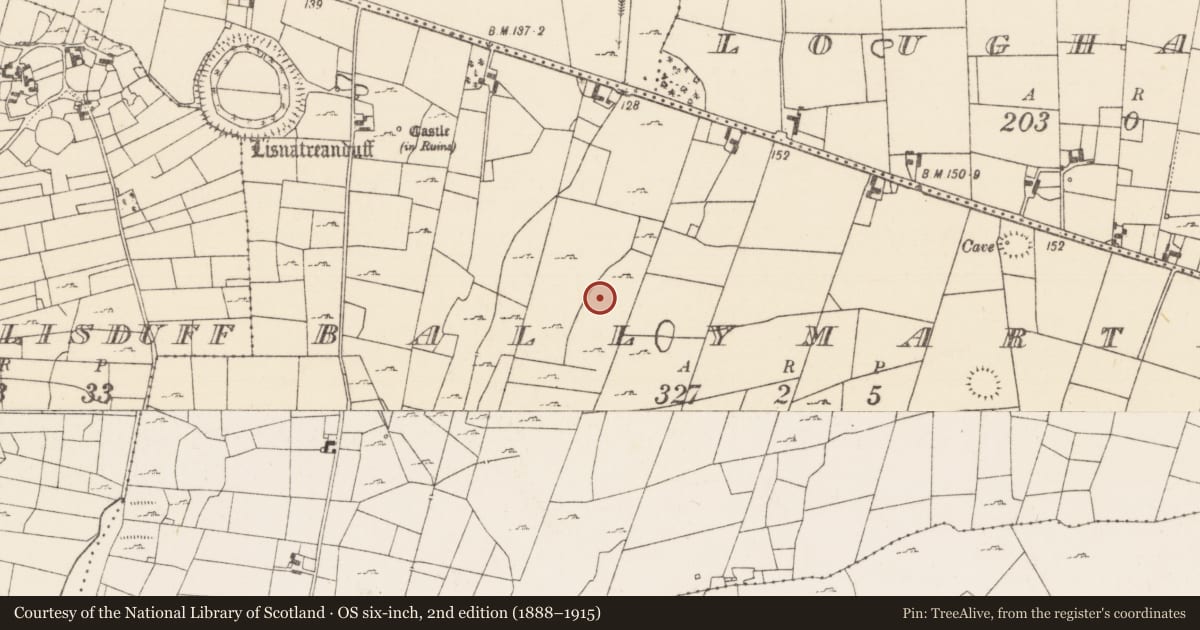 Ordnance Survey six-inch map, 2nd edition (1888–1915) covering the location of Enclosure, Ballymartin, County Mayo, with a pin at the register's coordinates