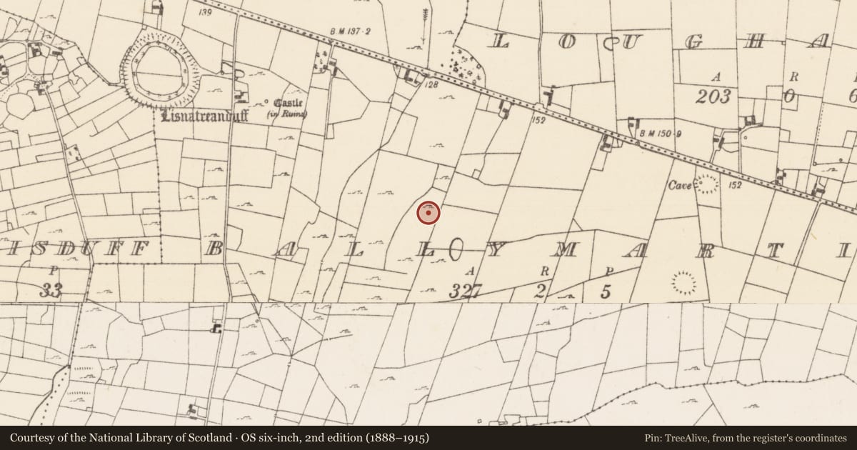 Ordnance Survey six-inch map, 2nd edition (1888–1915) covering the location of Field system, Ballymartin, County Mayo, with a pin at the register's coordinates