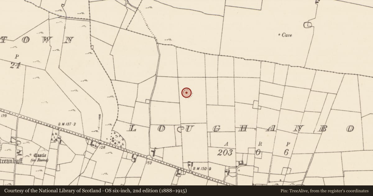 Ordnance Survey six-inch map, 2nd edition (1888–1915) covering the location of Ringfort - rath, Loughanboy, County Mayo, with a pin at the register's coordinates