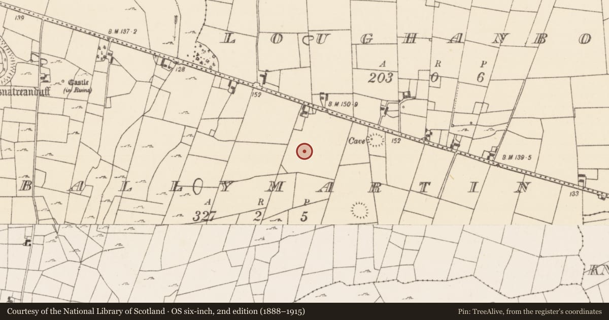 Ordnance Survey six-inch map, 2nd edition (1888–1915) covering the location of Mound, Ballymartin, County Mayo, with a pin at the register's coordinates