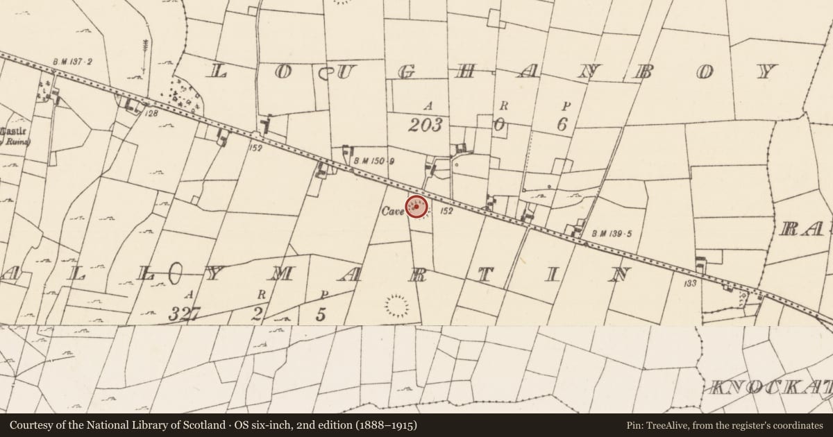 Ordnance Survey six-inch map, 2nd edition (1888–1915) covering the location of Ringfort - rath, Ballymartin, County Mayo, with a pin at the register's coordinates