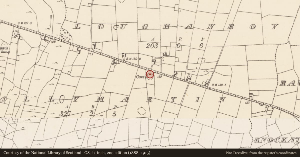 Ordnance Survey six-inch map, 2nd edition (1888–1915) covering the location of House - indeterminate date, Ballymartin, County Mayo, with a pin at the register's coordinates