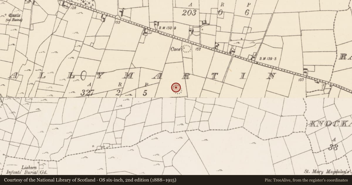 Ordnance Survey six-inch map, 2nd edition (1888–1915) covering the location of Ringfort - rath, Ballymartin, County Mayo, with a pin at the register's coordinates