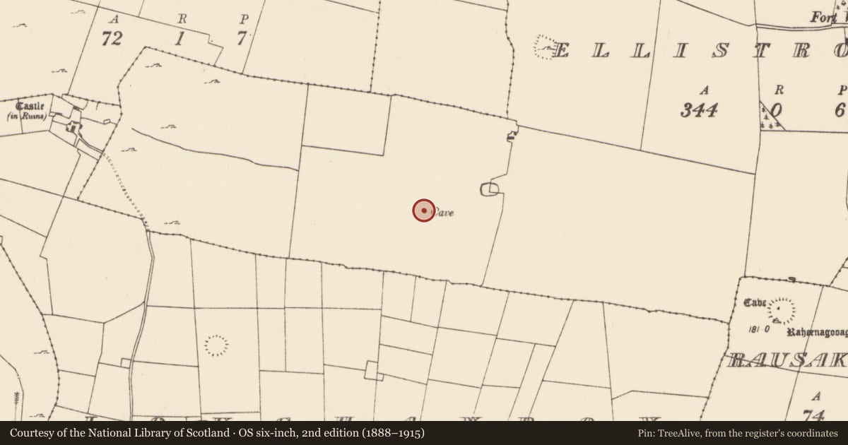 Ordnance Survey six-inch map, 2nd edition (1888–1915) covering the location of Souterrain, Ellistronbeg, County Mayo, with a pin at the register's coordinates
