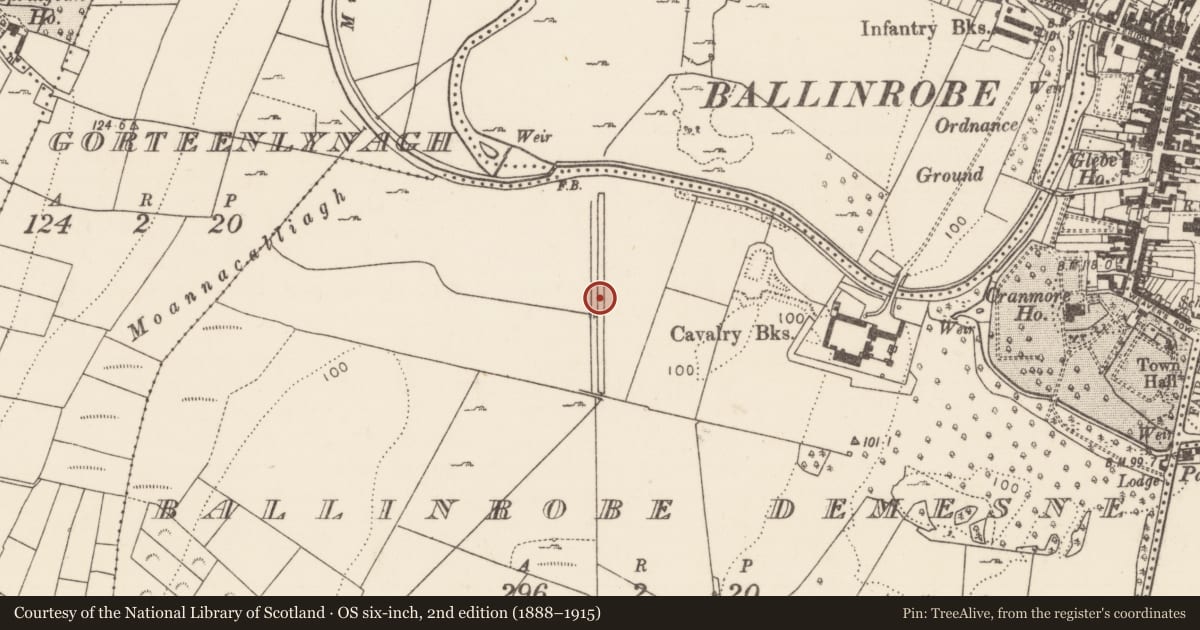 Ordnance Survey six-inch map, 2nd edition (1888–1915) covering the location of Fish-pond, Ballinrobe Demesne, County Mayo, with a pin at the register's coordinates