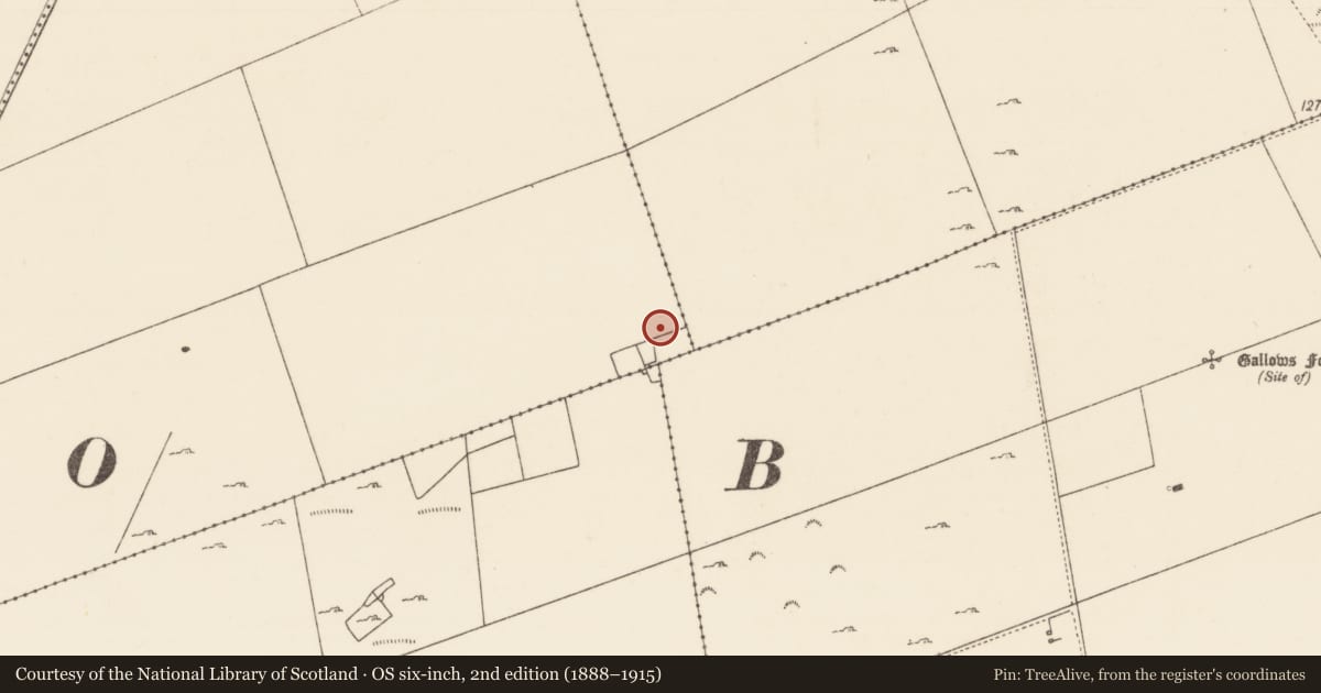Ordnance Survey six-inch map, 2nd edition (1888–1915) covering the location of Enclosure, Cappacurry, County Mayo, with a pin at the register's coordinates