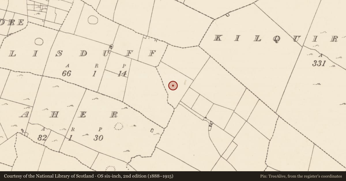 Ordnance Survey six-inch map, 2nd edition (1888–1915) covering the location of Field system, Lisduff, Tullyduff, County Mayo, with a pin at the register's coordinates