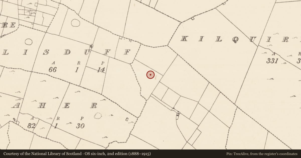 Ordnance Survey six-inch map, 2nd edition (1888–1915) covering the location of House - indeterminate date, Tullyduff, County Mayo, with a pin at the register's coordinates