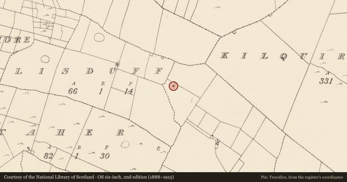 Ordnance Survey six-inch map, 2nd edition (1888–1915) covering the location of Ringfort - cashel, Tullyduff, County Mayo, with a pin at the register's coordinates