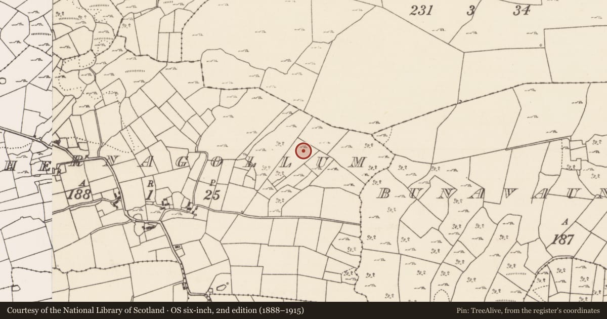 Ordnance Survey six-inch map, 2nd edition (1888–1915) covering the location of Megalithic tomb - unclassified, Cahernagollum, County Mayo, with a pin at the register's coordinates