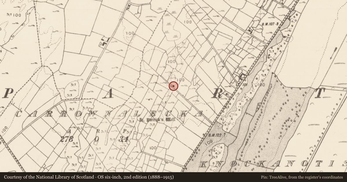 Ordnance Survey six-inch map, 2nd edition (1888–1915) covering the location of Souterrain, Carrownalecka, County Mayo, with a pin at the register's coordinates