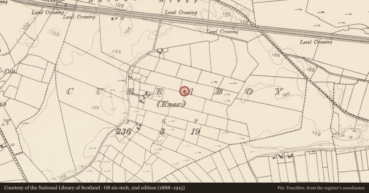 Ordnance Survey six-inch map, 2nd edition (1888–1915) covering the location of House - indeterminate date, Curraboy (Knox), County Mayo, with a pin at the register's coordinates
