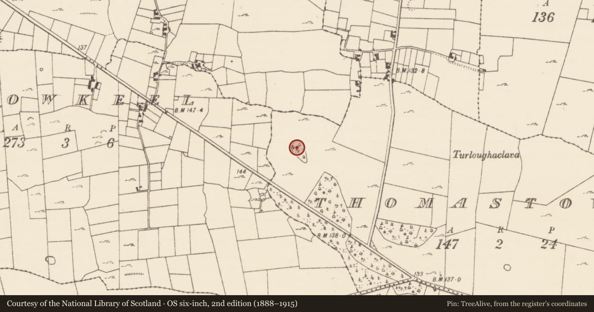 Ordnance Survey six-inch map, 2nd edition (1888–1915) covering the location of Ringfort - rath, Thomastown (Kilmaine By., Kilmainemore Par.), County Mayo, with a pin at the register's coordinates