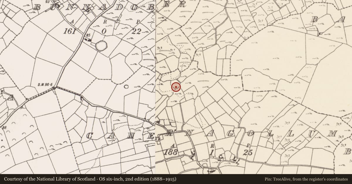 Ordnance Survey six-inch map, 2nd edition (1888–1915) covering the location of Ringfort - cashel, Cahernagollum, County Mayo, with a pin at the register's coordinates