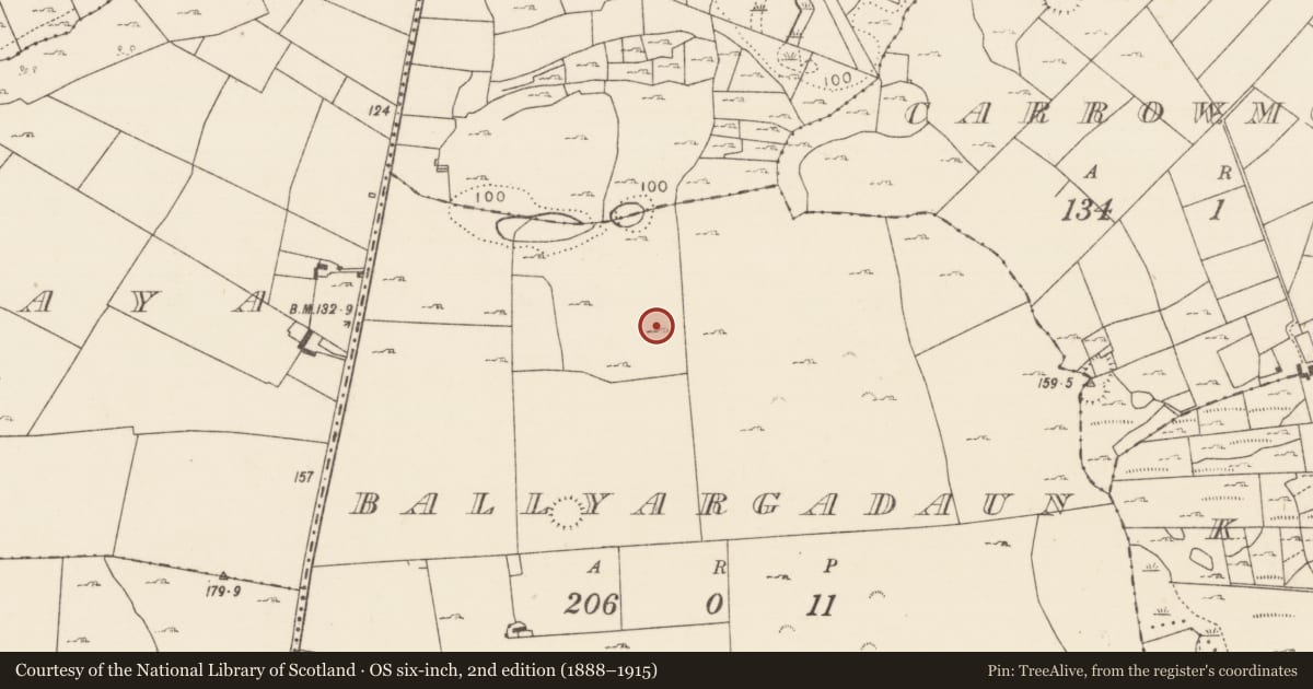 Ordnance Survey six-inch map, 2nd edition (1888–1915) covering the location of House - indeterminate date, Ballyargadaun (Kilmaine By., Ballinchalla Par.), County Mayo, with a pin at the register's coordinates