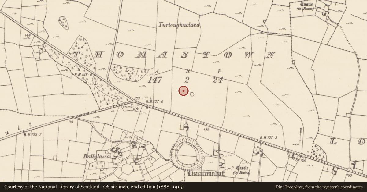 Ordnance Survey six-inch map, 2nd edition (1888–1915) covering the location of Standing stone, Thomastown (Kilmaine By., Kilmainemore Par.), County Mayo, with a pin at the register's coordinates