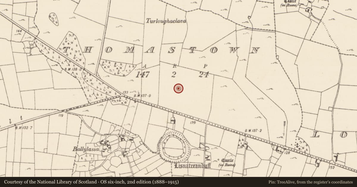 Ordnance Survey six-inch map, 2nd edition (1888–1915) covering the location of Ringfort - cashel, Thomastown (Kilmaine By., Kilmainemore Par.), County Mayo, with a pin at the register's coordinates