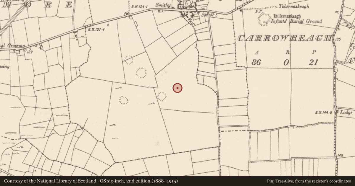 Ordnance Survey six-inch map, 2nd edition (1888–1915) covering the location of Field system, Bunacrower, County Mayo, with a pin at the register's coordinates