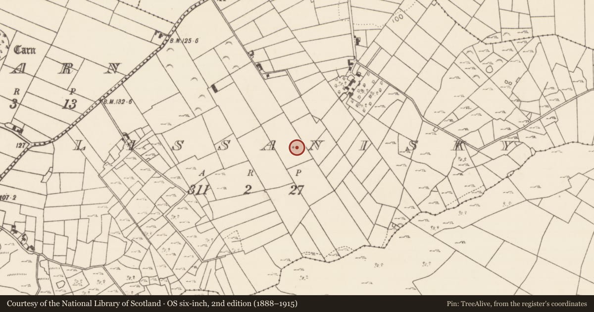 Ordnance Survey six-inch map, 2nd edition (1888–1915) covering the location of Ringfort - rath, Lissanisky, County Mayo, with a pin at the register's coordinates