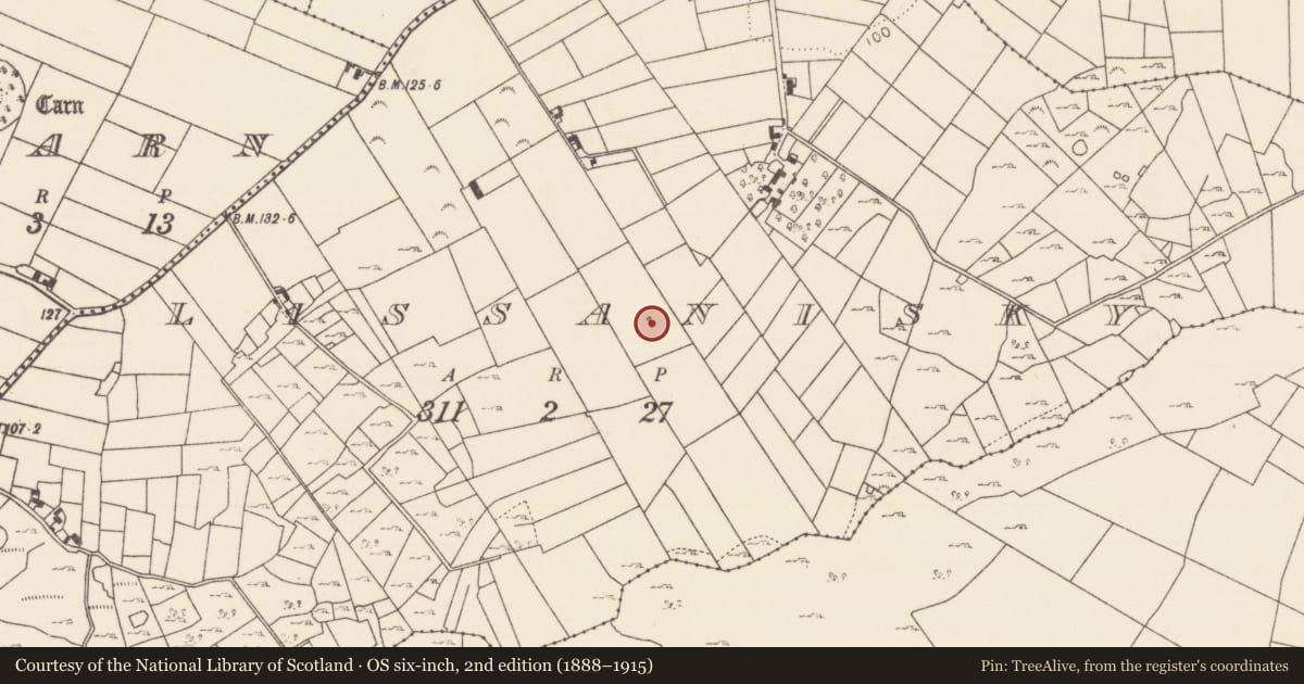 Ordnance Survey six-inch map, 2nd edition (1888–1915) covering the location of Souterrain, Lissanisky, County Mayo, with a pin at the register's coordinates