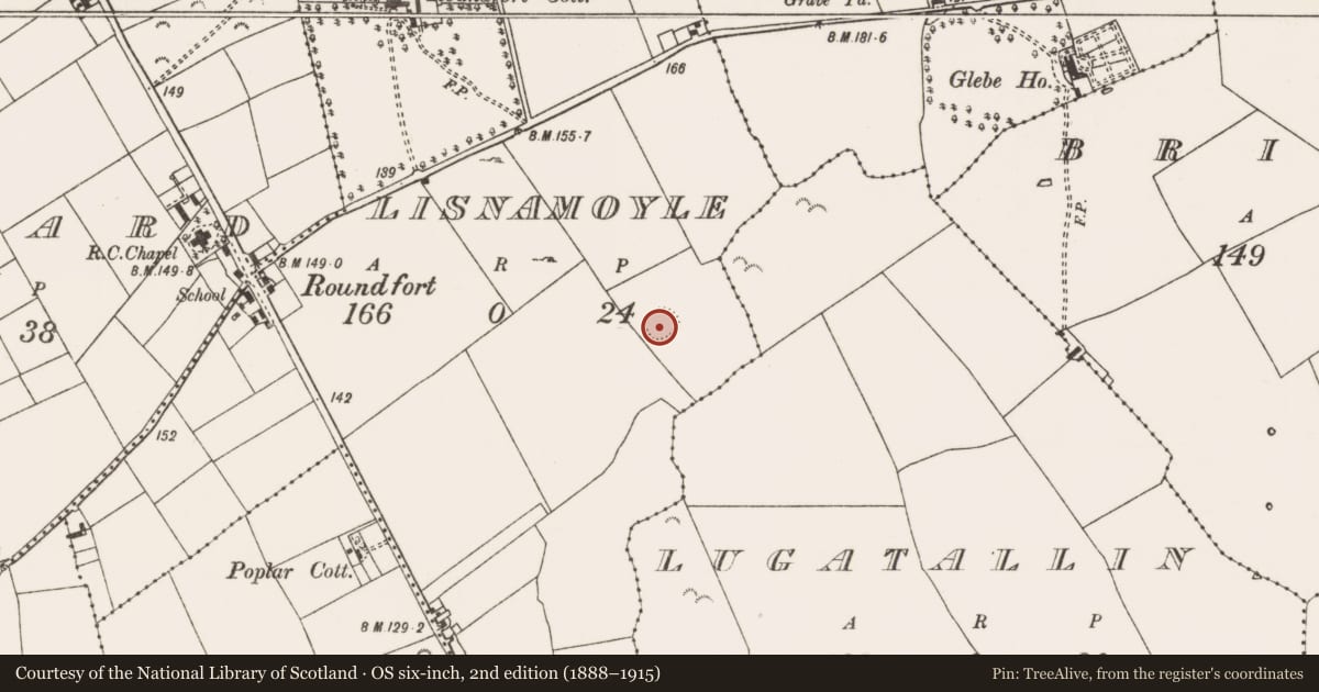 Ordnance Survey six-inch map, 2nd edition (1888–1915) covering the location of Ringfort - rath, Lisnamoyle, County Mayo, with a pin at the register's coordinates
