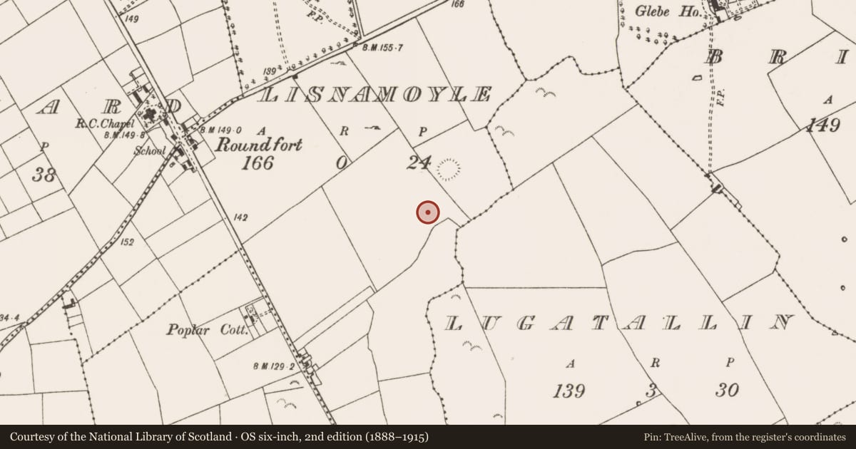 Ordnance Survey six-inch map, 2nd edition (1888–1915) covering the location of Earthwork, Lisnamoyle, County Mayo, with a pin at the register's coordinates