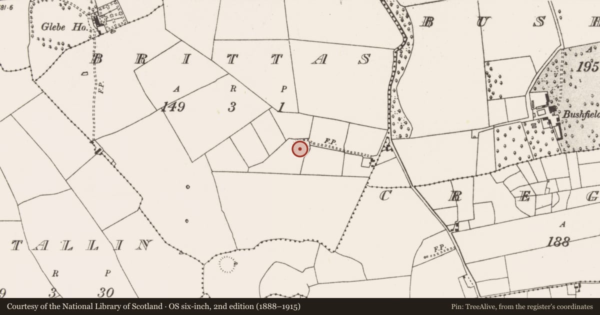 Ordnance Survey six-inch map, 2nd edition (1888–1915) covering the location of Ringfort - rath, Brittas, County Mayo, with a pin at the register's coordinates