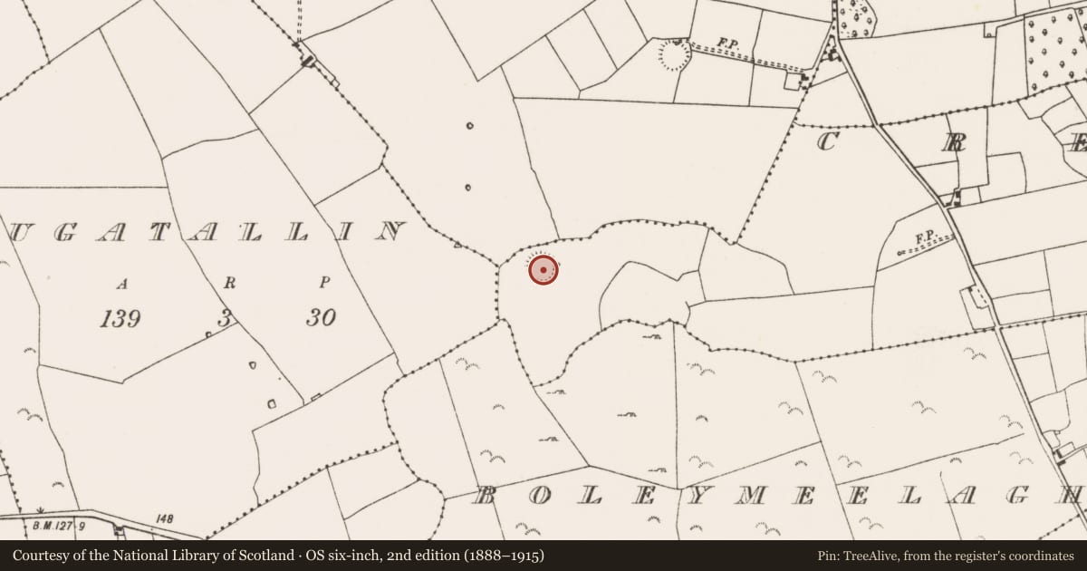 Ordnance Survey six-inch map, 2nd edition (1888–1915) covering the location of Ringfort - rath, Cregduff (Kilmaine By., Kilcommon Par.), County Mayo, with a pin at the register's coordinates