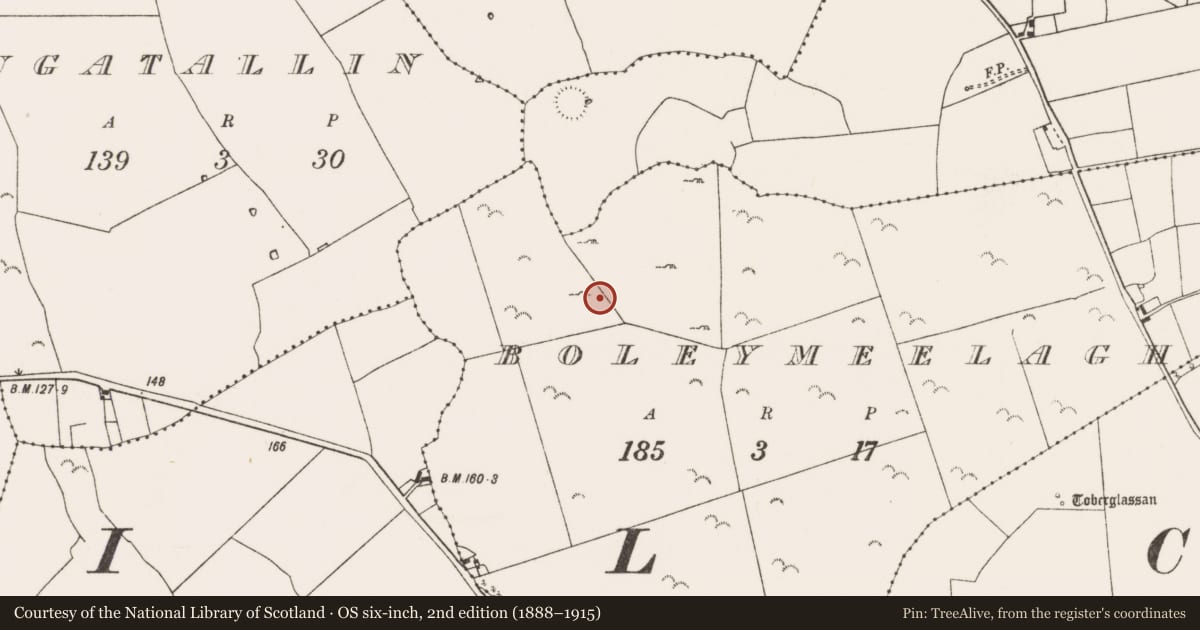 Ordnance Survey six-inch map, 2nd edition (1888–1915) covering the location of Enclosure, County Mayo, with a pin at the register's coordinates